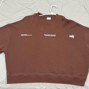 Zara Chocolate Brown Crewneck Sweatshirt